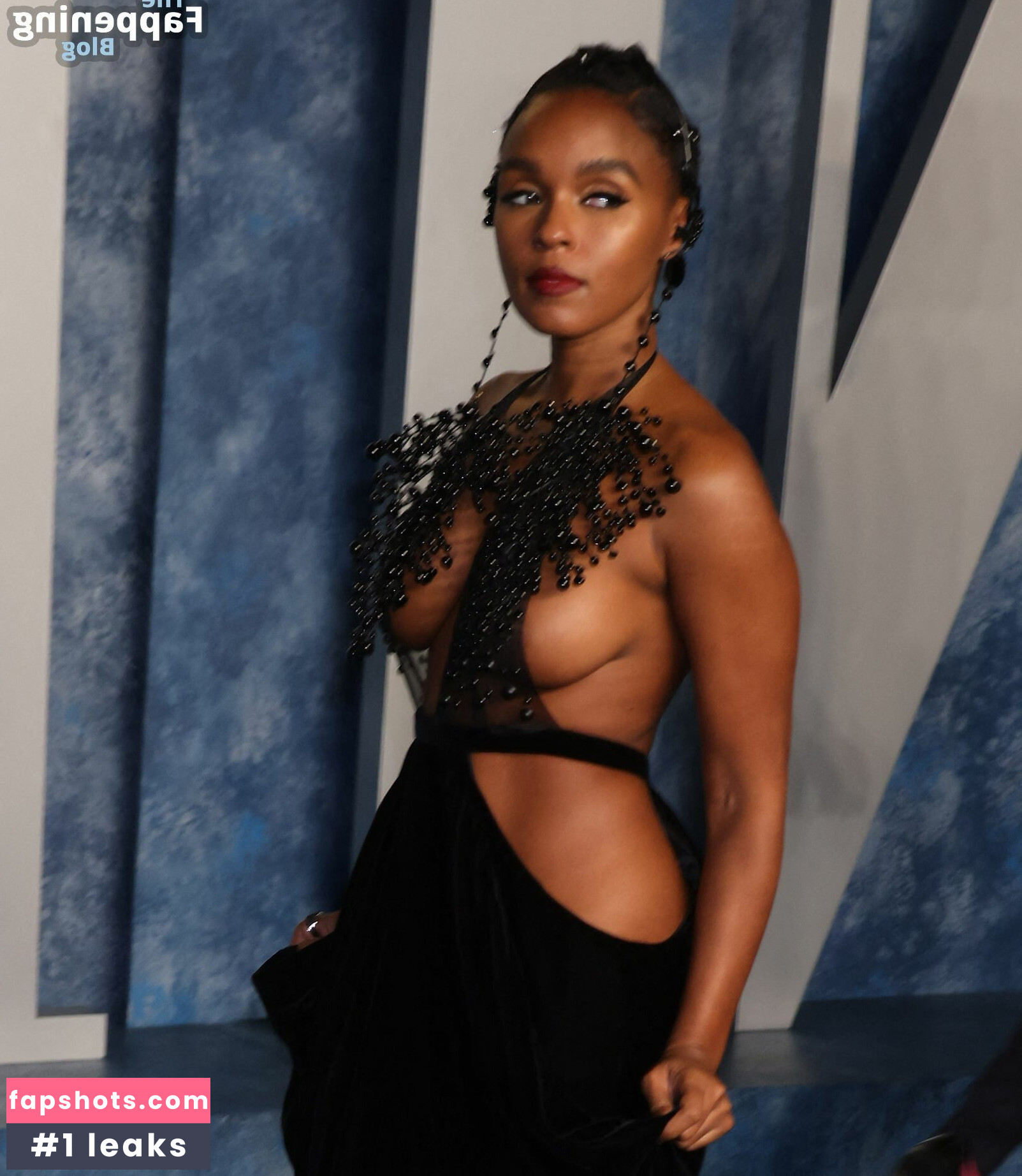 Janelle Monáe gallery photo #380