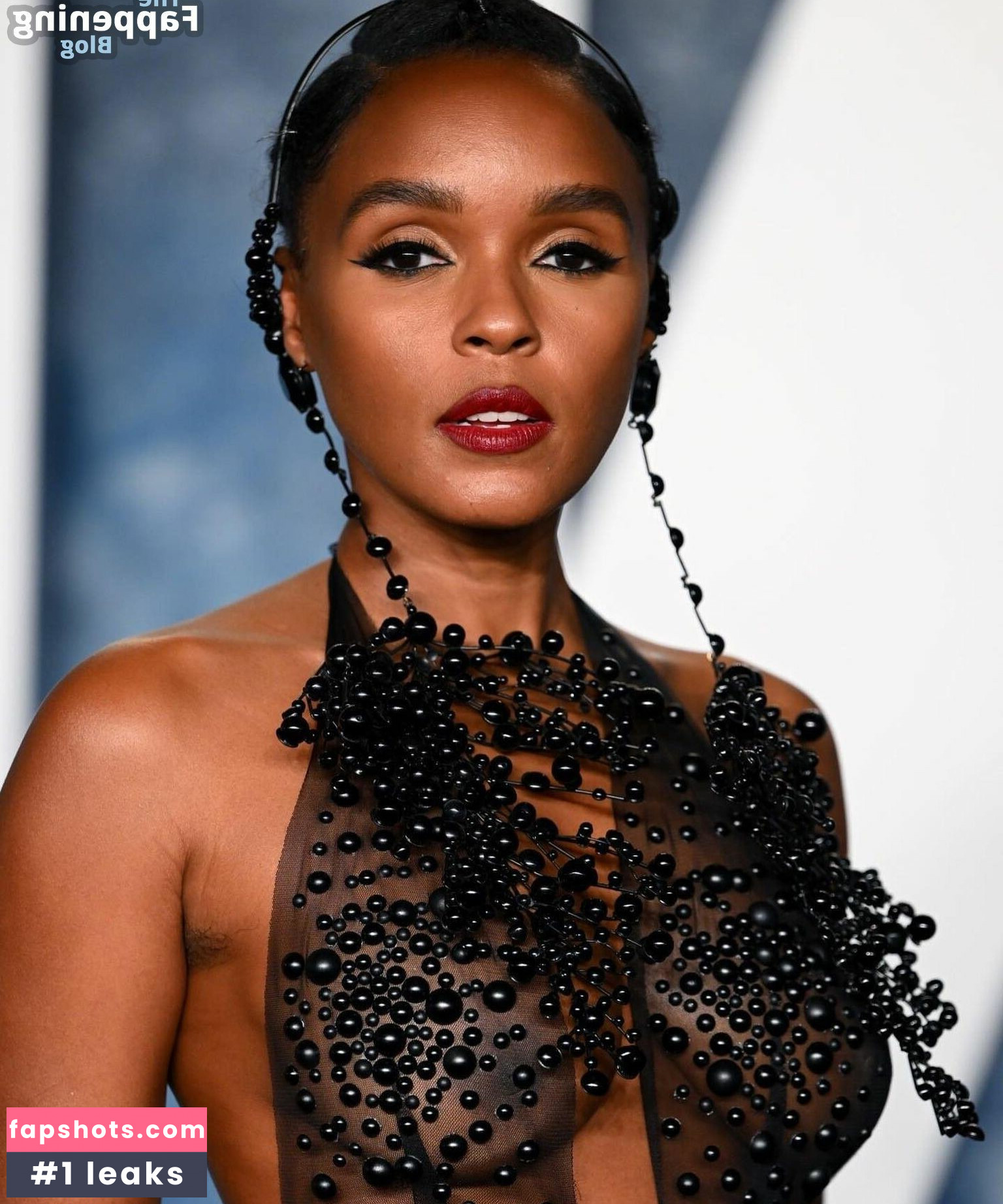Janelle Monáe gallery photo #382