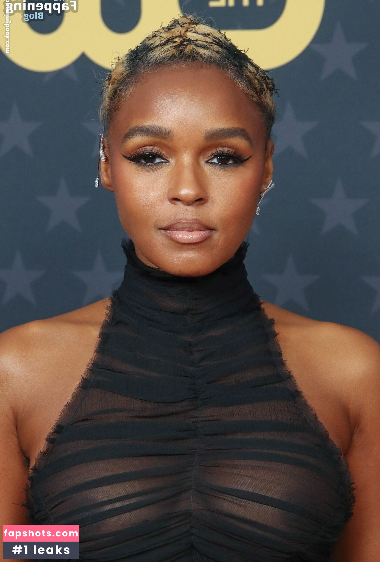 Janelle Monáe gallery photo #398