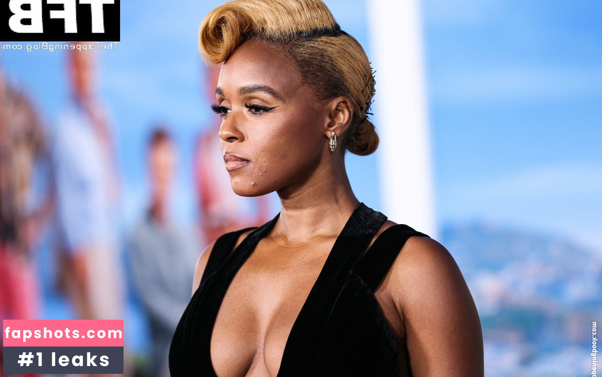 Janelle Monáe gallery photo #429