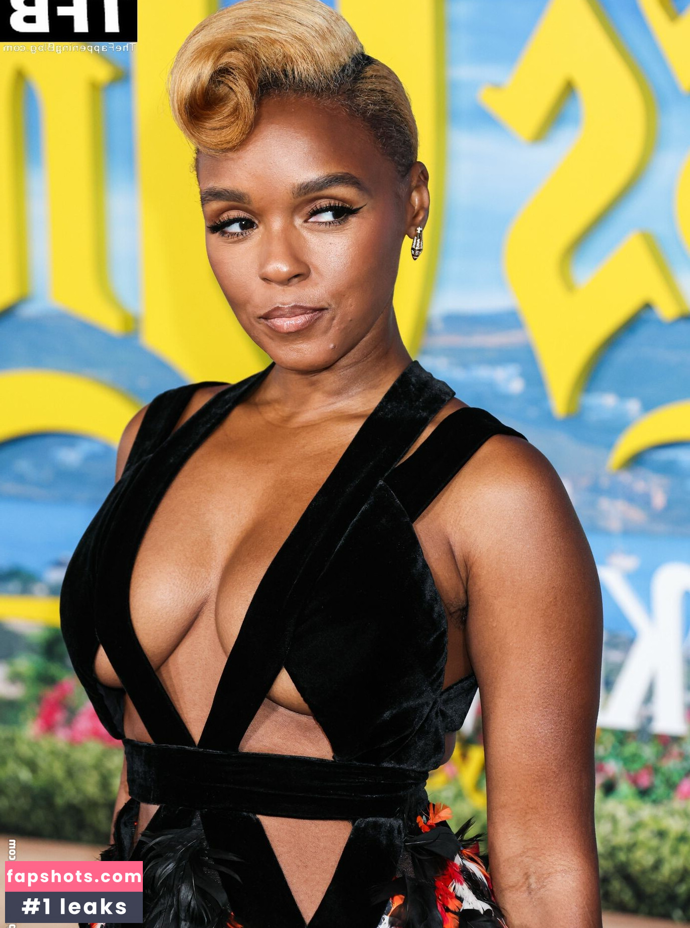 Janelle Monáe gallery photo #432