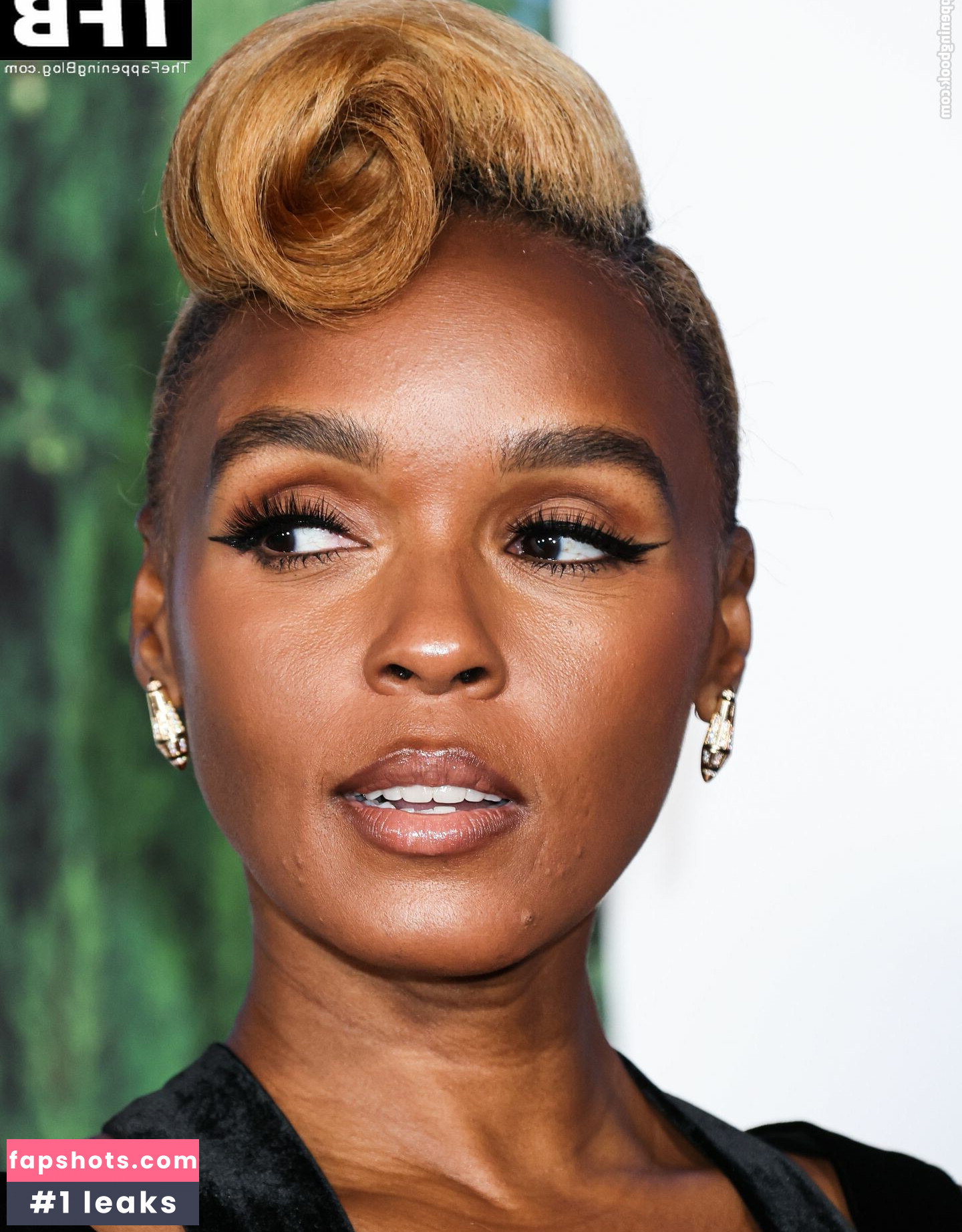 Janelle Monáe gallery photo #436