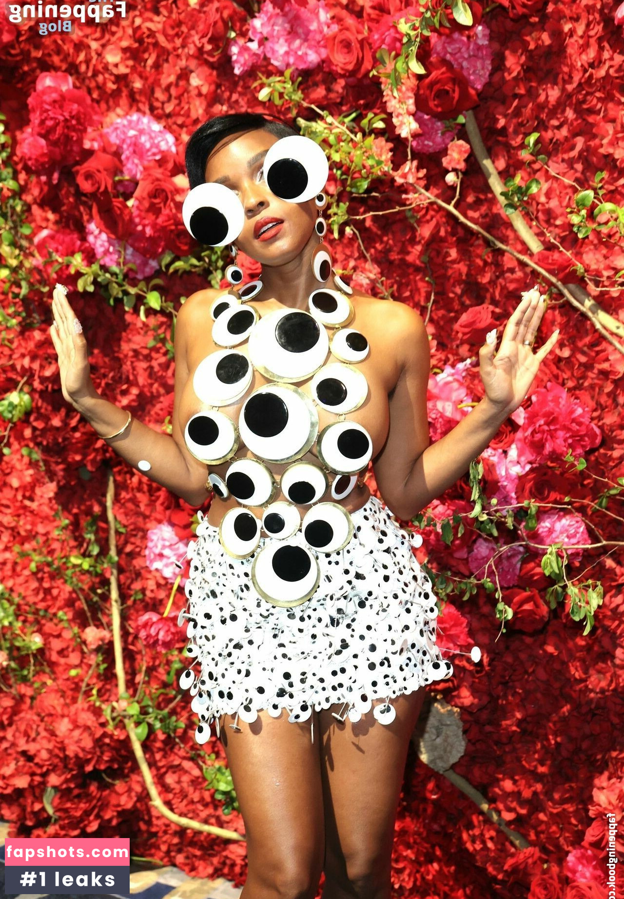 Janelle Monáe gallery photo #55