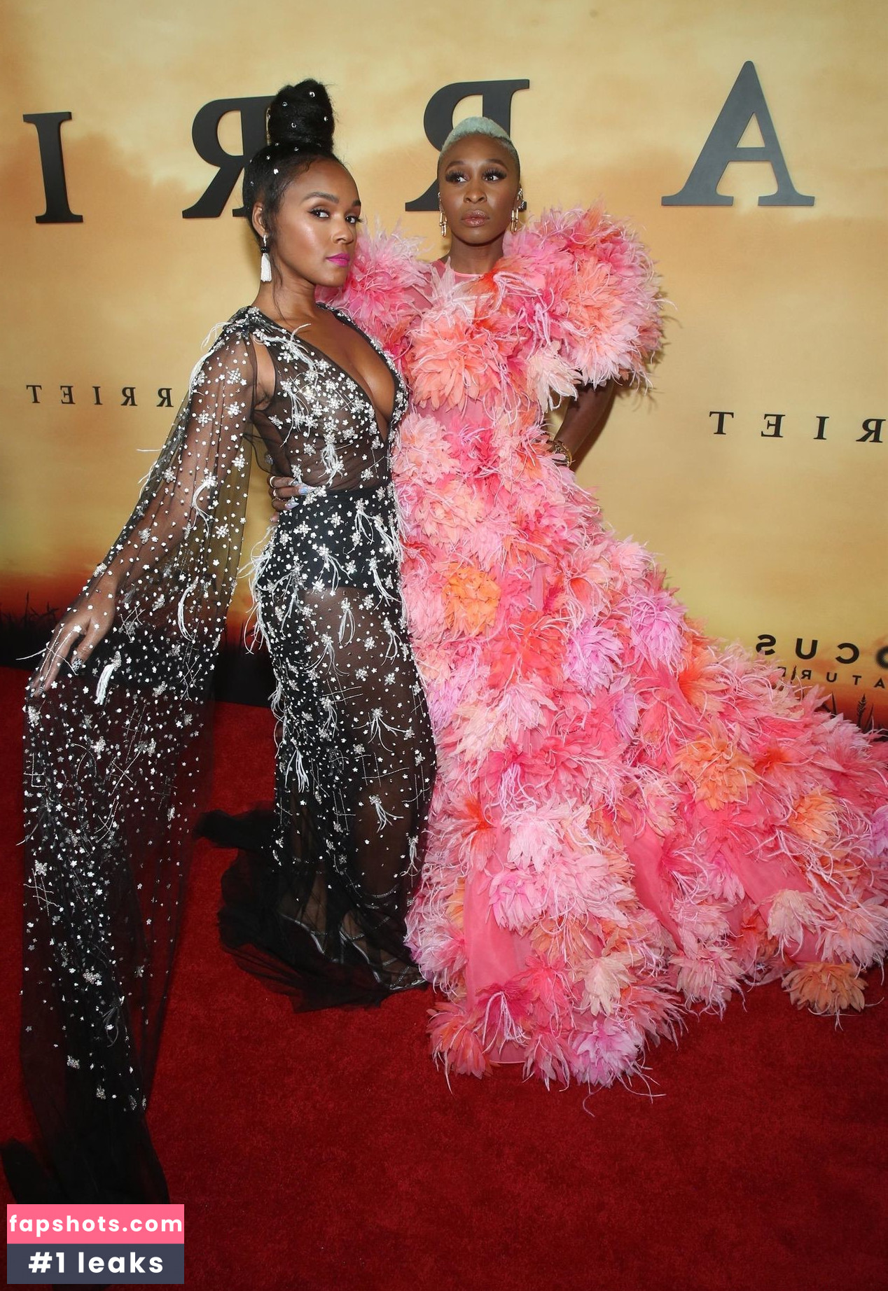 Janelle Monáe gallery photo #549