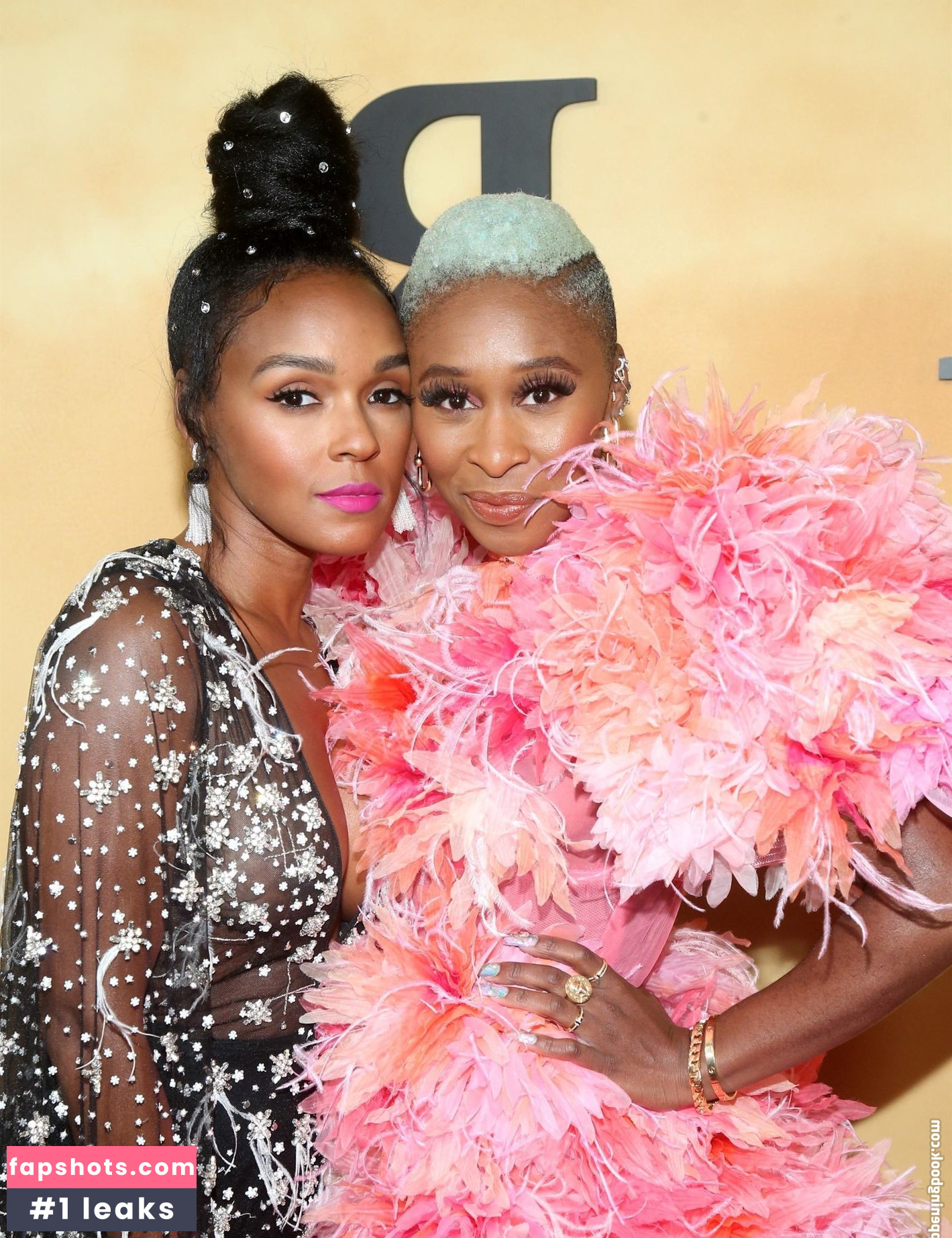 Janelle Monáe gallery photo #550