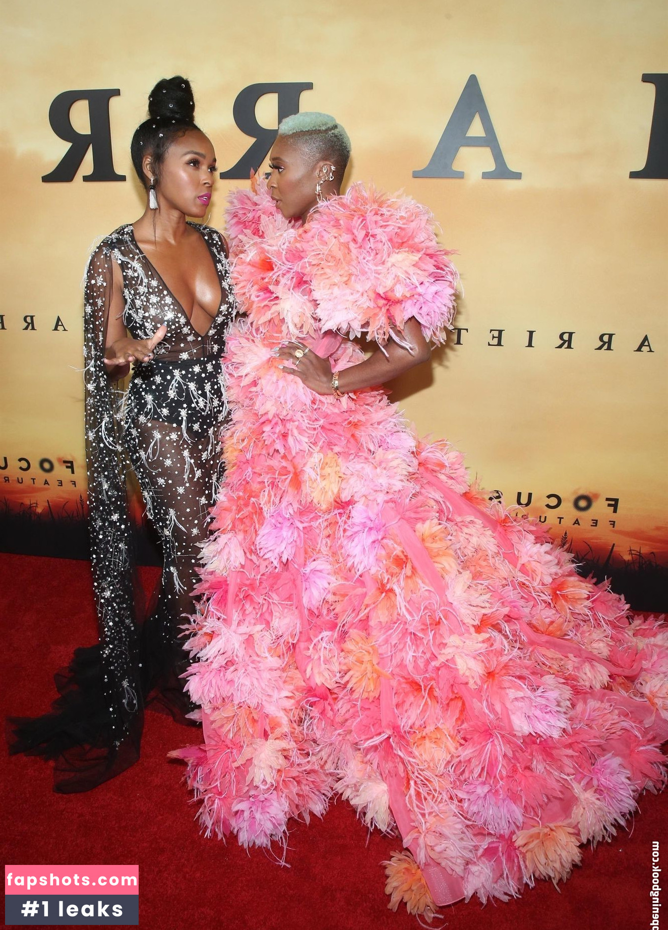 Janelle Monáe gallery photo #551