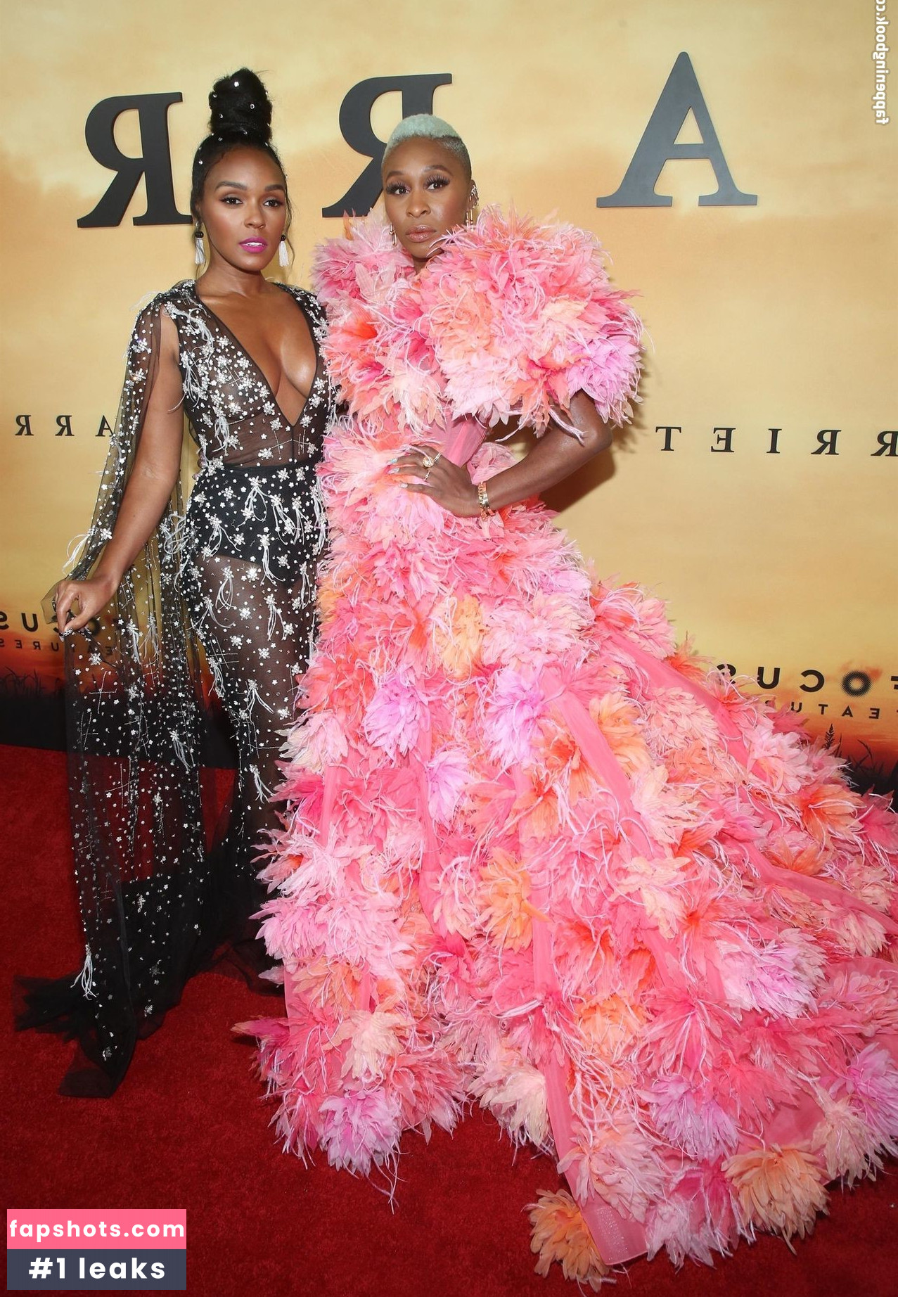 Janelle Monáe gallery photo #553