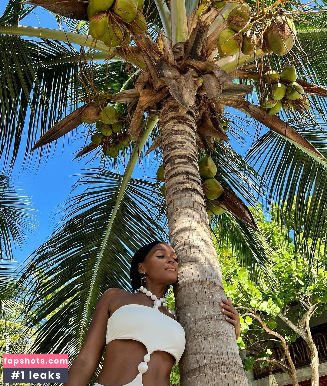 Janelle Monáe gallery photo #81