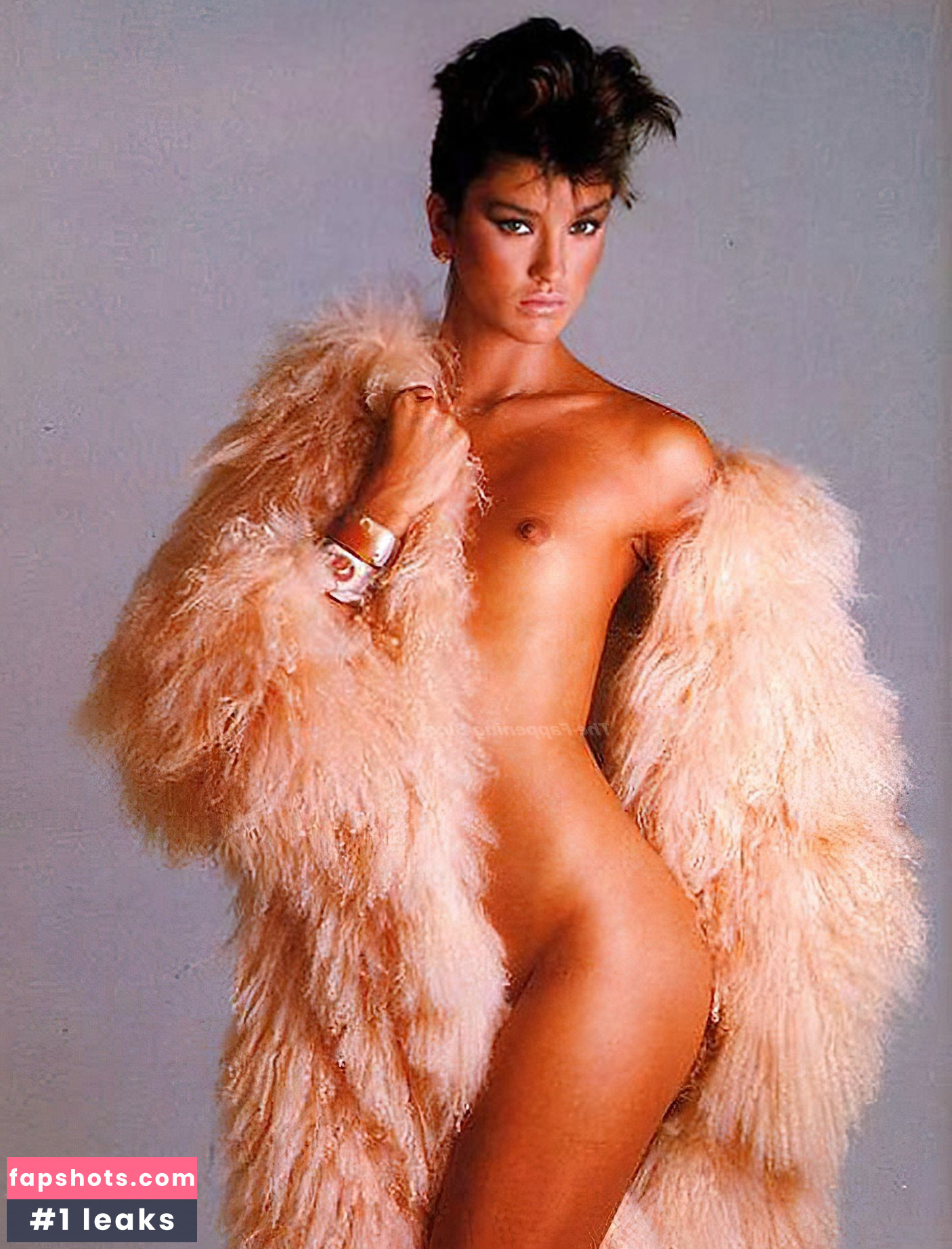 Janice Dickinson gallery photo #16