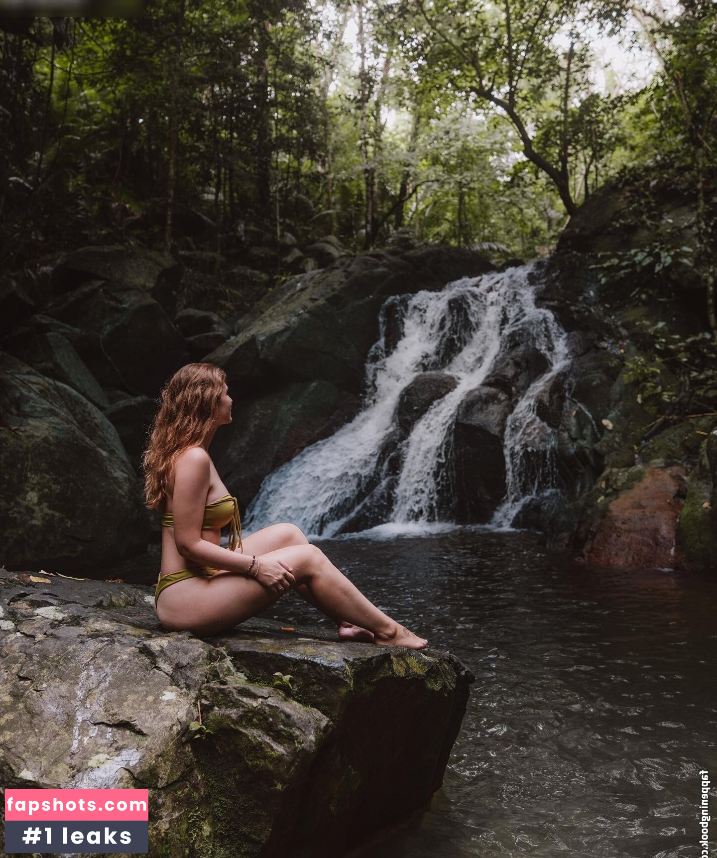 janisview gallery photo #3