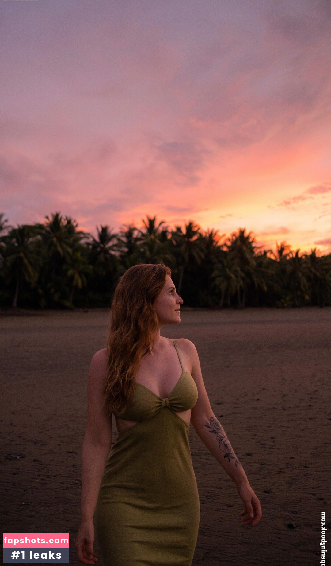 janisview gallery photo #5