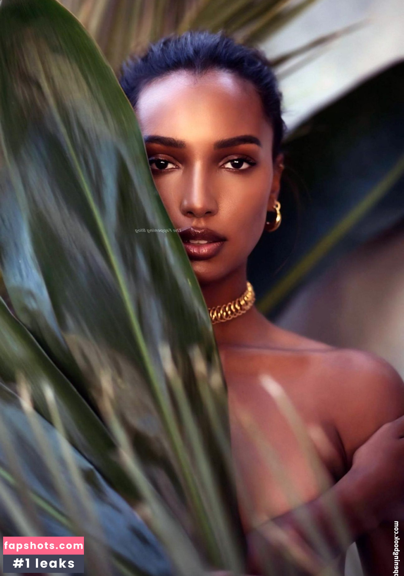 Jasmine Tookes Nacktheit OnlyFans Fotos #232 - Fapshots