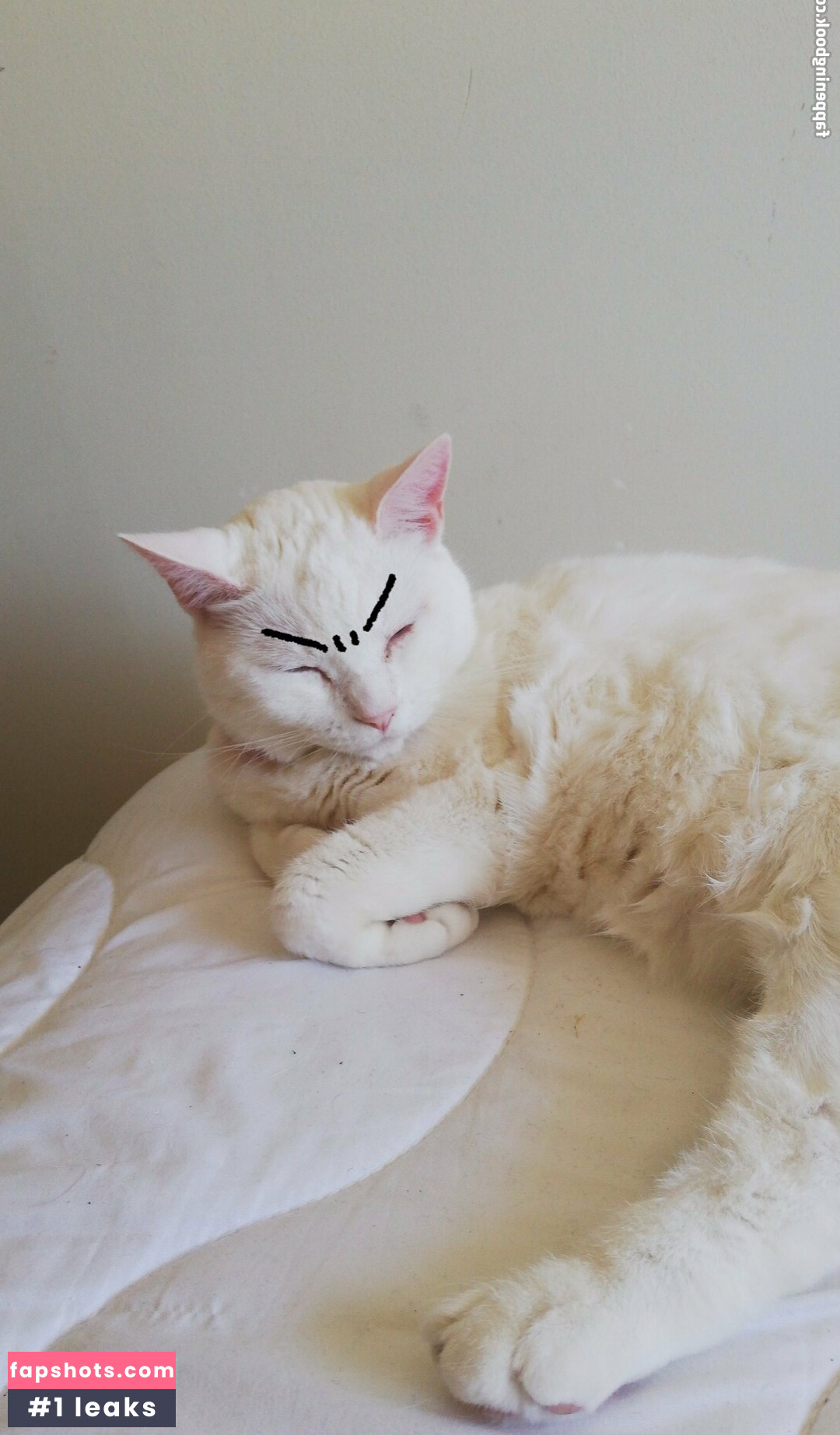 javajabona gallery photo #16