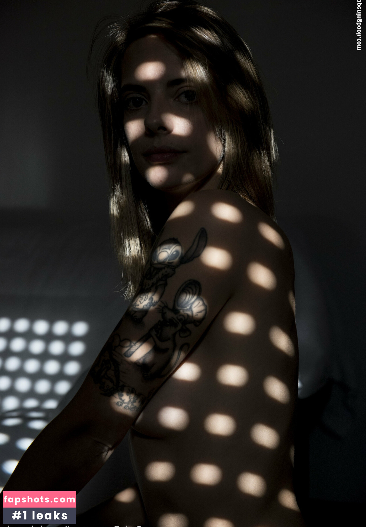 javierdelpradophoto gallery photo #11