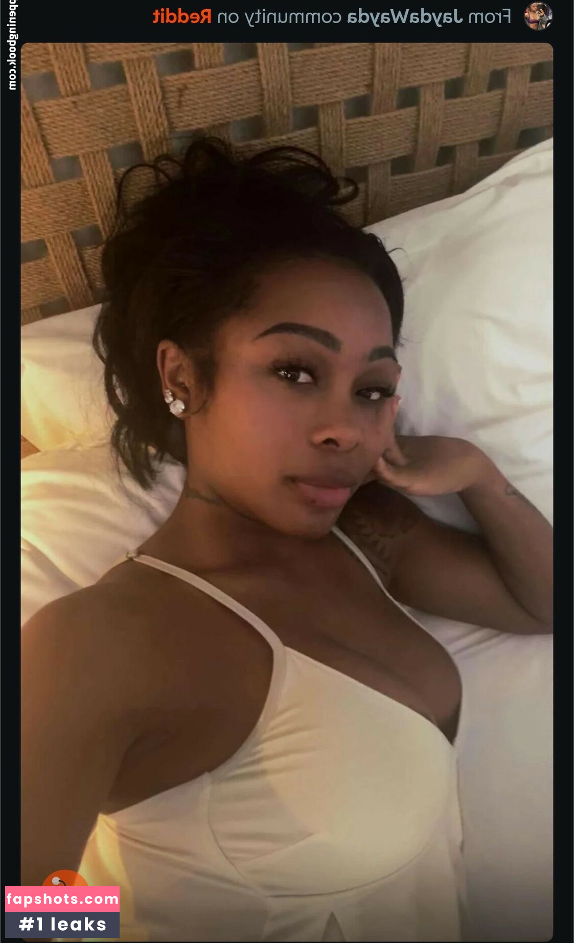 Jayda Wayda gallery photo #3