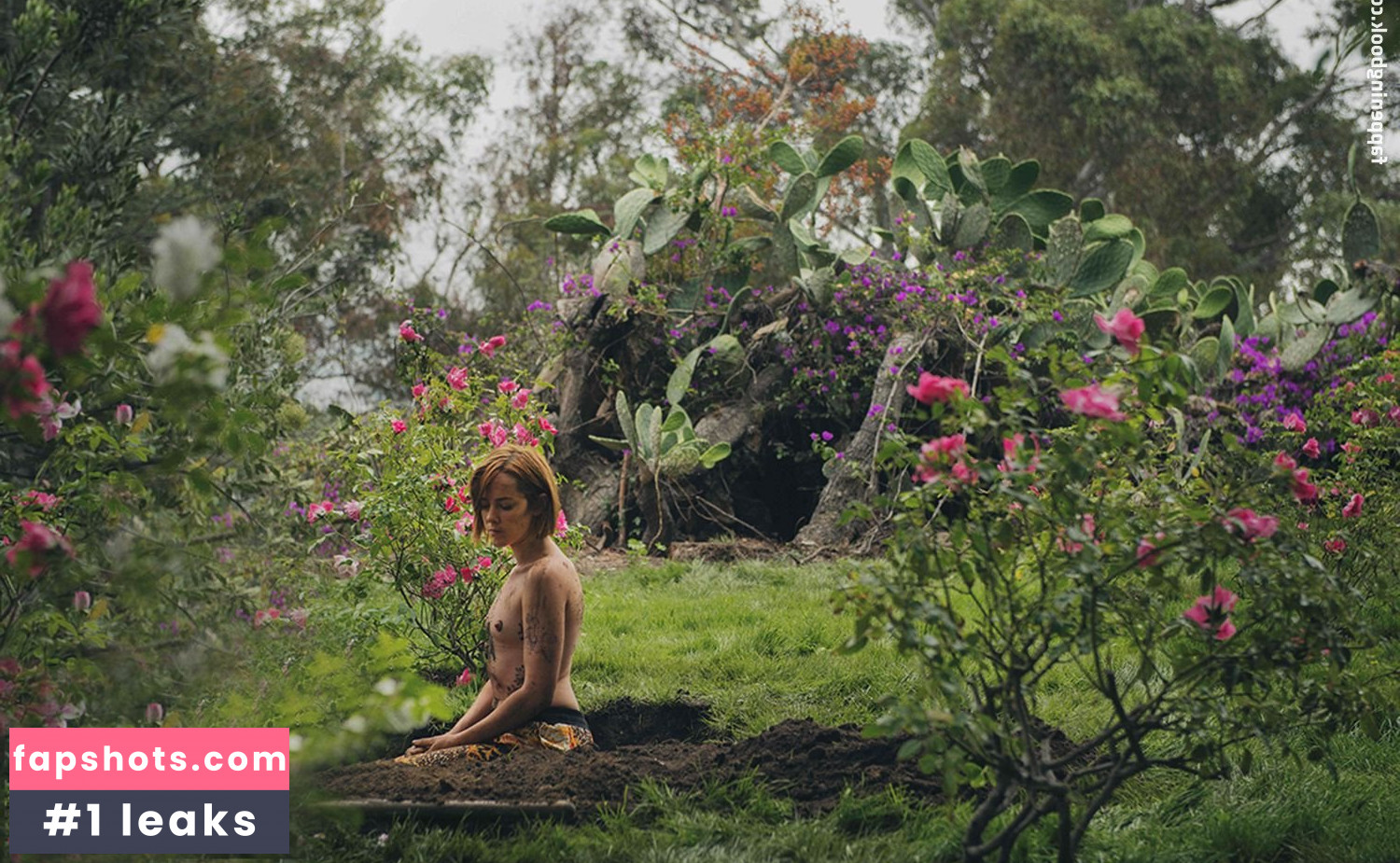 Jena Malone gallery photo #74