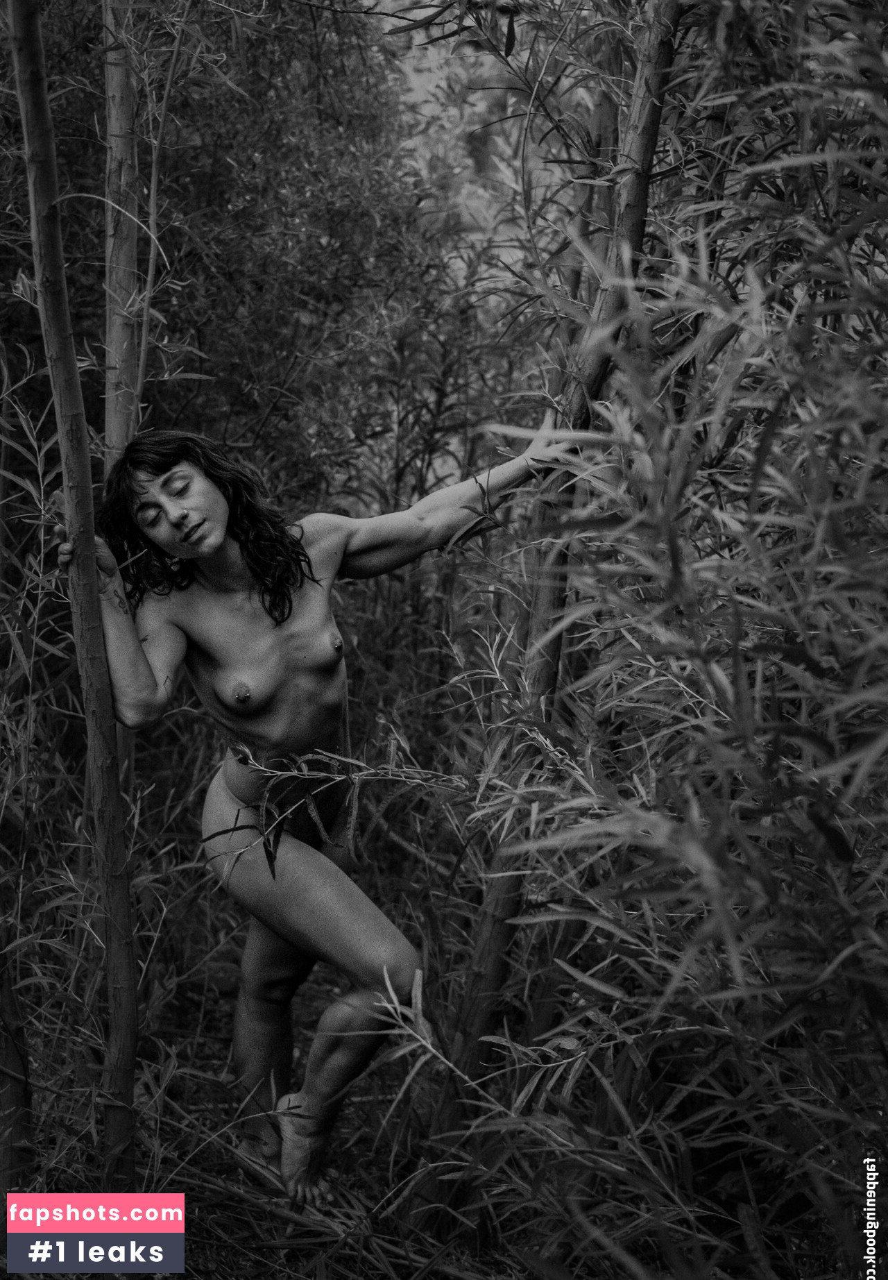 Jenners gallery photo #29