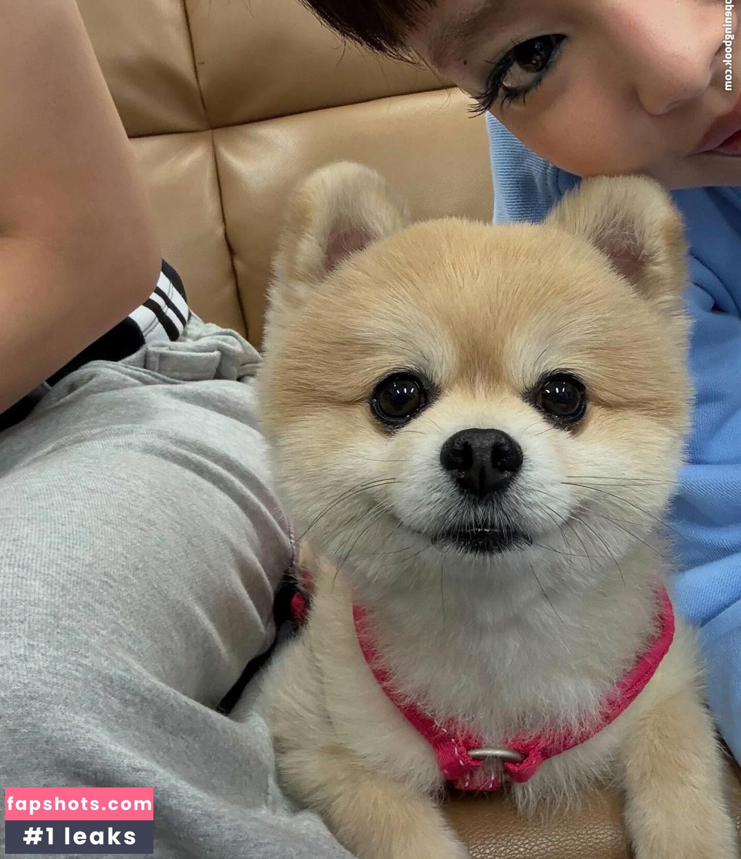 Jennie | BLΛƆKPIИK Nacktheit OnlyFans Fotos #127 - Fapshots