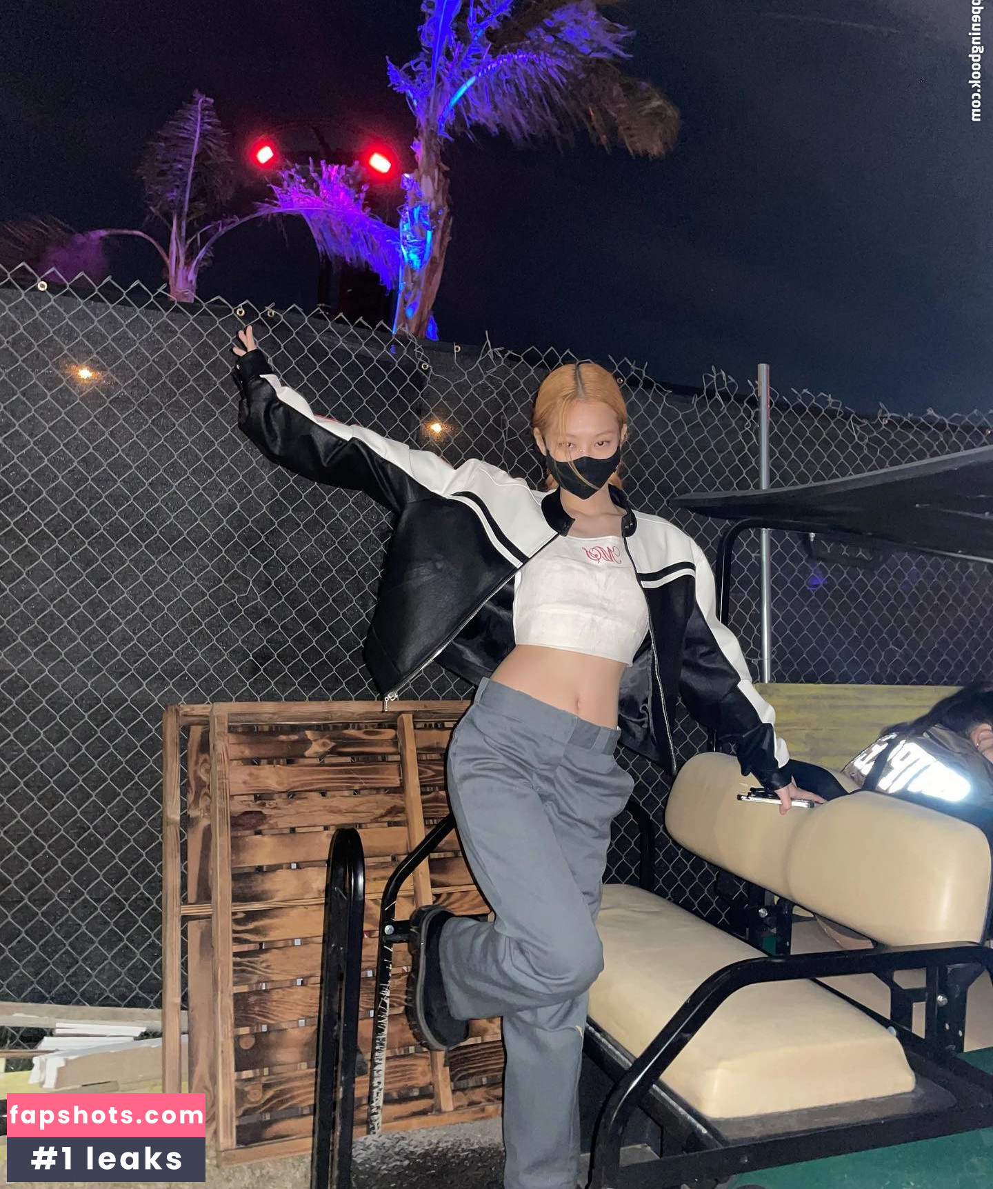 Jennie | BLΛƆKPIИK Nacktheit OnlyFans Fotos #777 - Fapshots