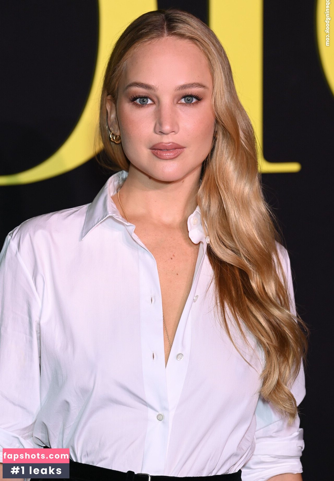 Jennifer Lawrence Nahé úniky fotek pouze od fanoušků #294 - Fapshots