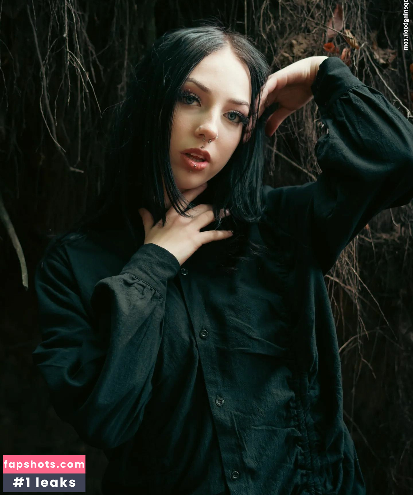 Jensteviexo gallery photo #14