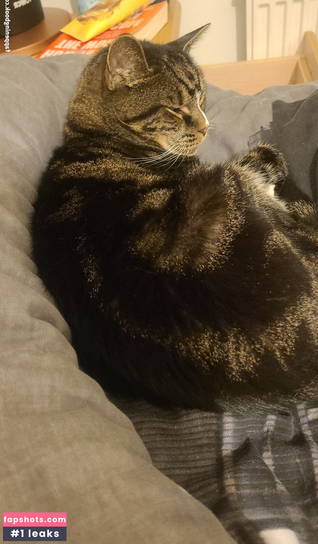 Jessica Johnson gallery photo #23