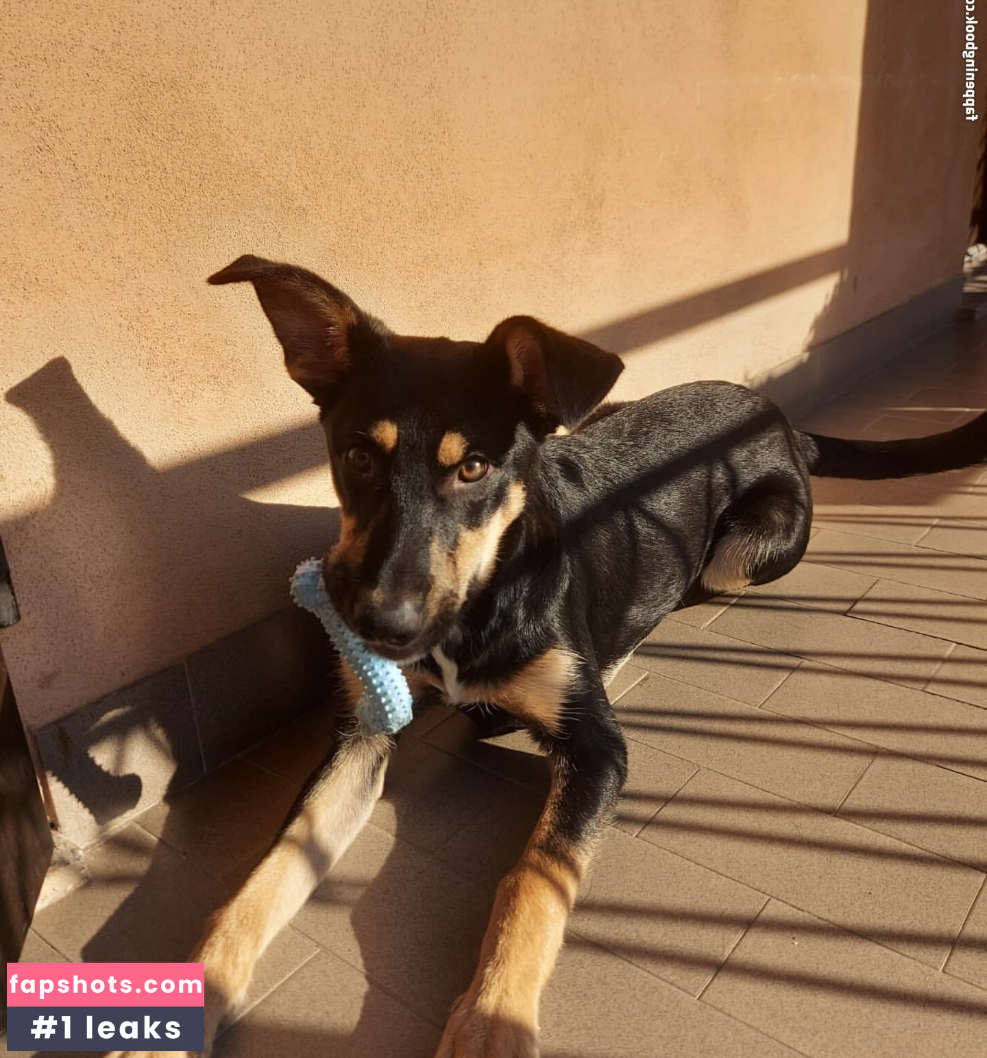 Jessica gallery photo #286