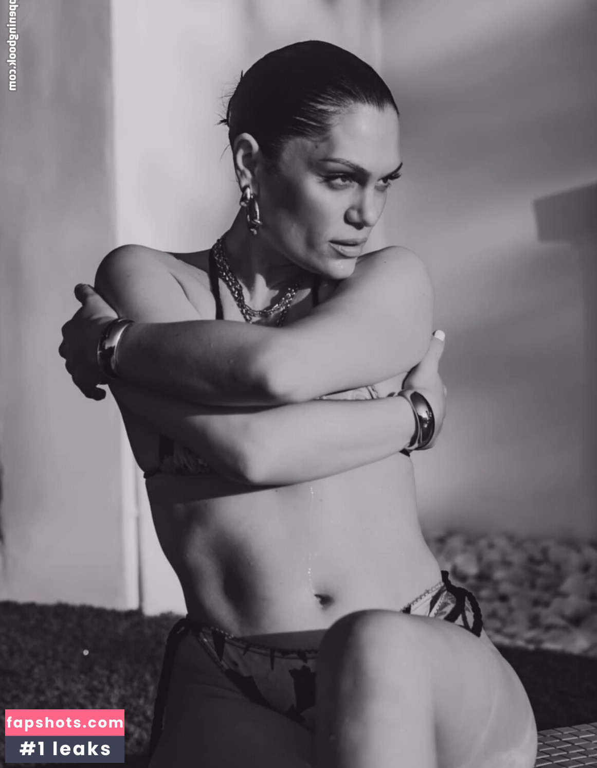 Jessie J gallery photo #47