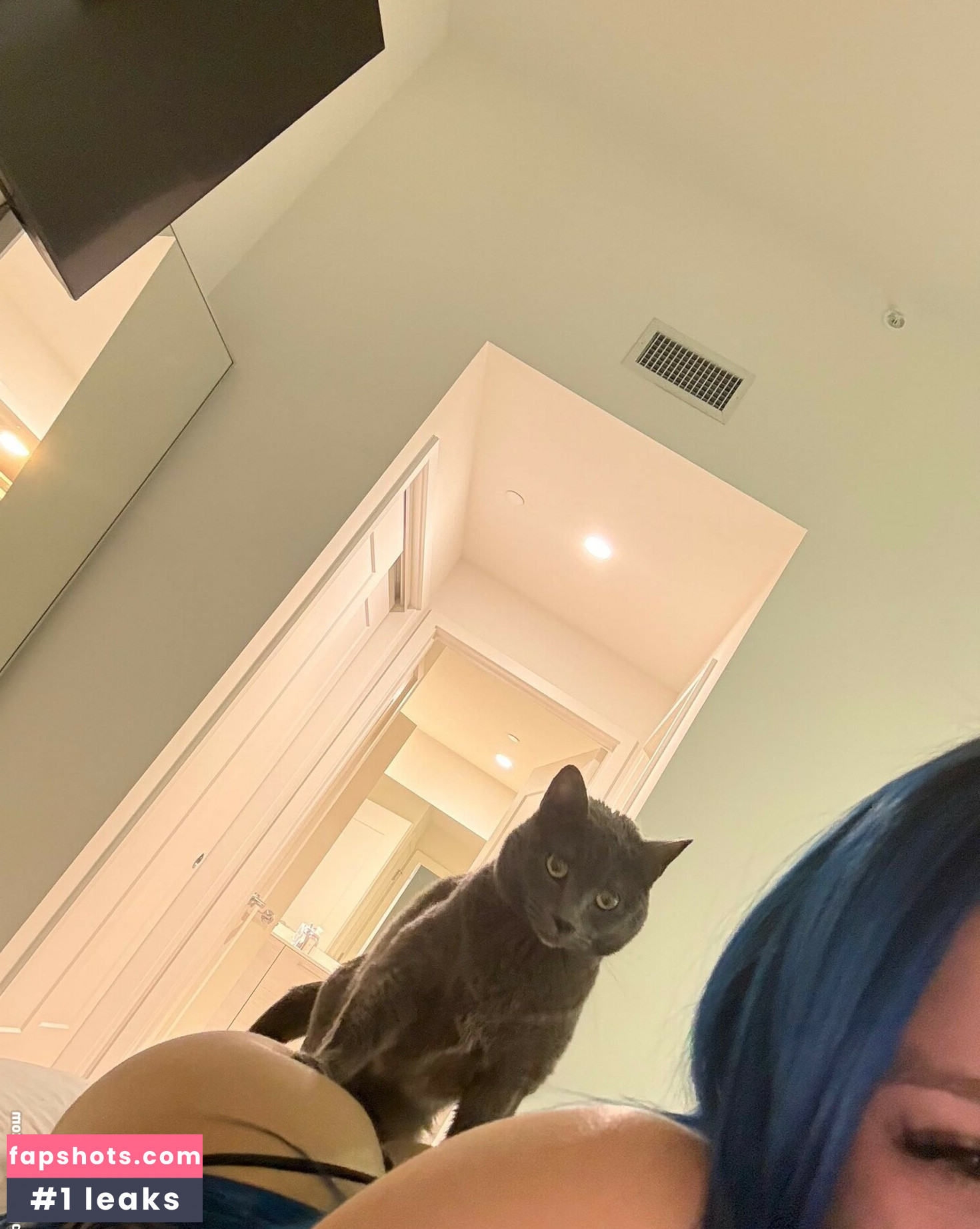 Jilikat gallery photo #6