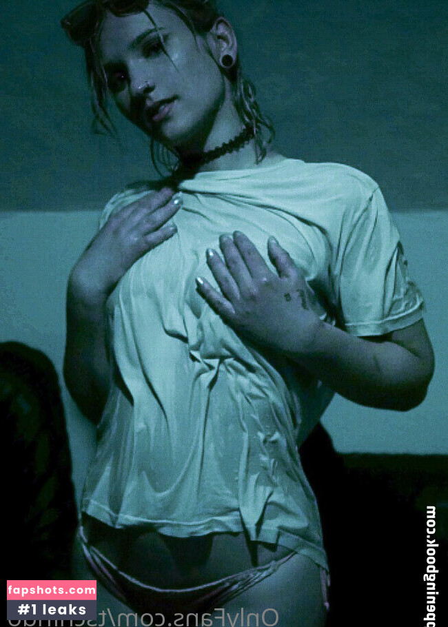 Jindo109 gallery photo #18