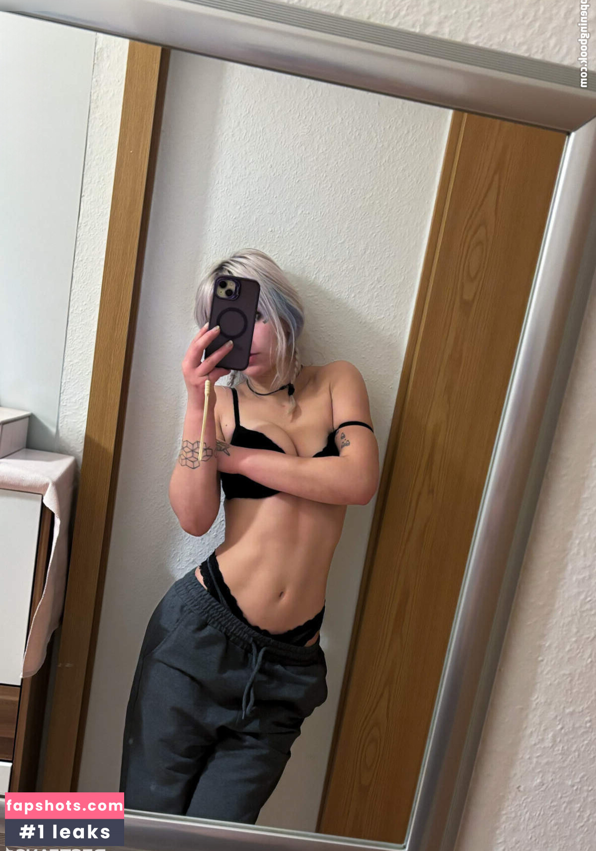 Jindo109 gallery photo #8