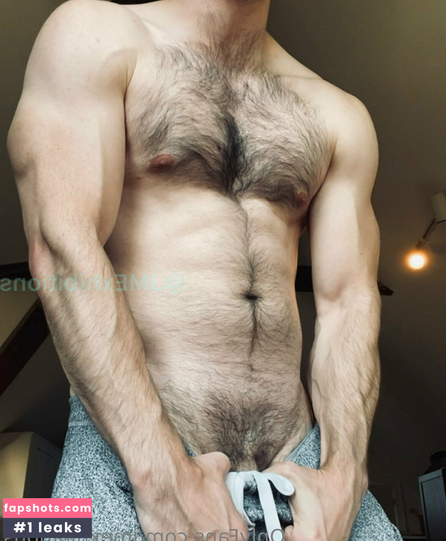 jmexhibitions Nude Leaks OnlyFans Photos #28 - Fapshots