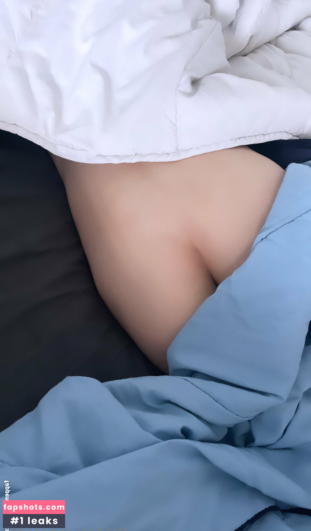 jnorthx gallery photo #14