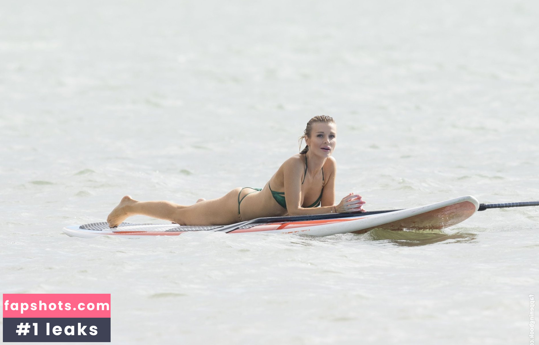 Joanna Krupa Nude Leaks OnlyFans Photos #677 - LeakJerk