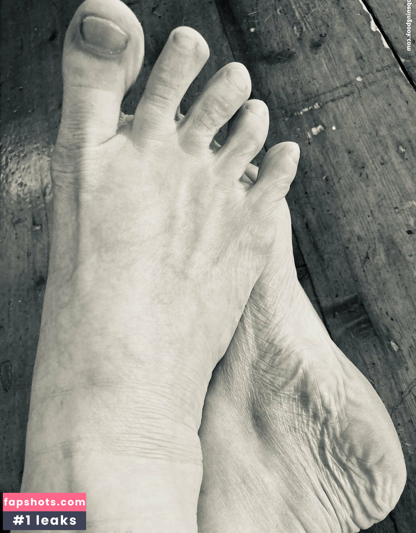 joercam gallery photo #4