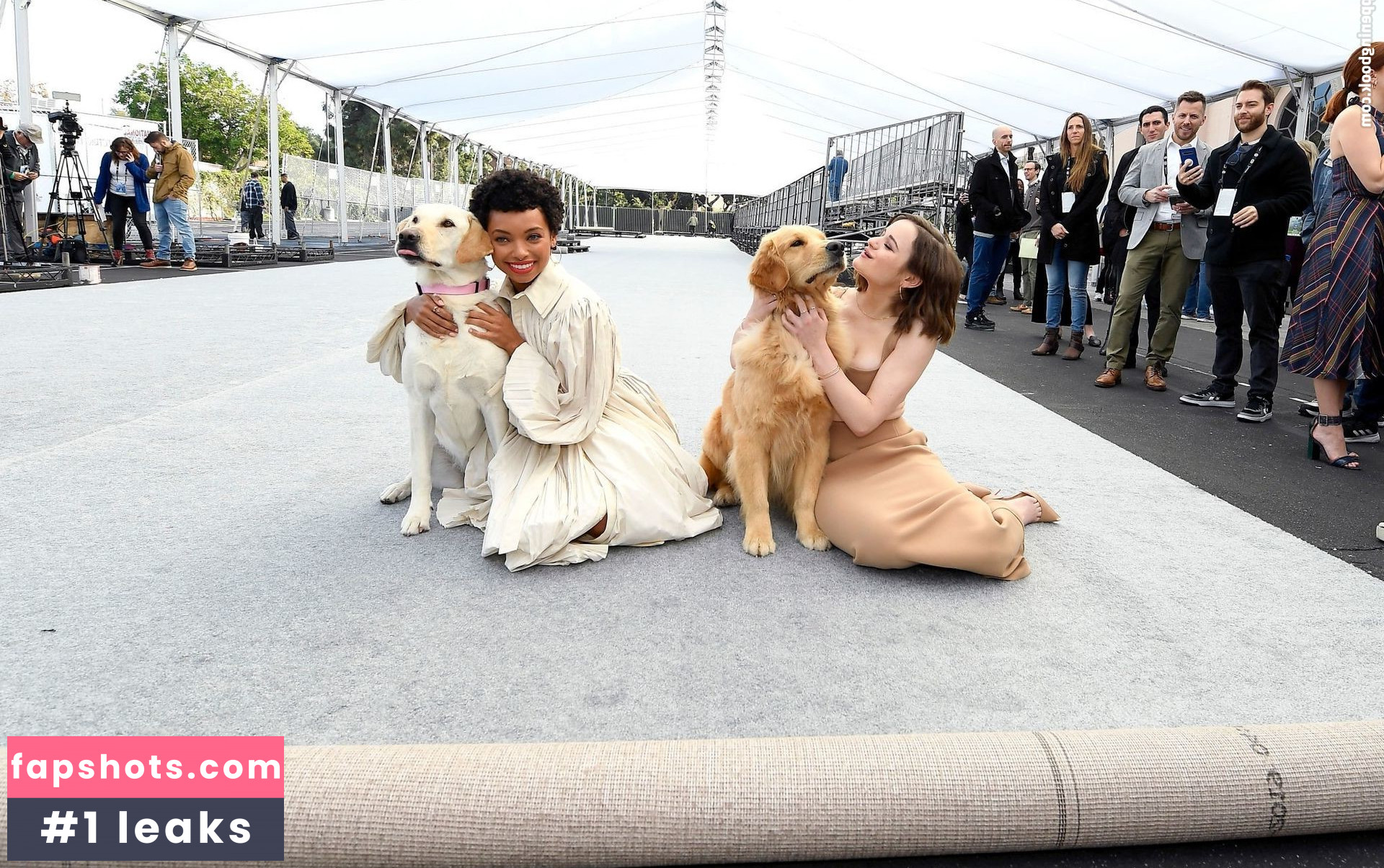 Joey King gallery photo #1701