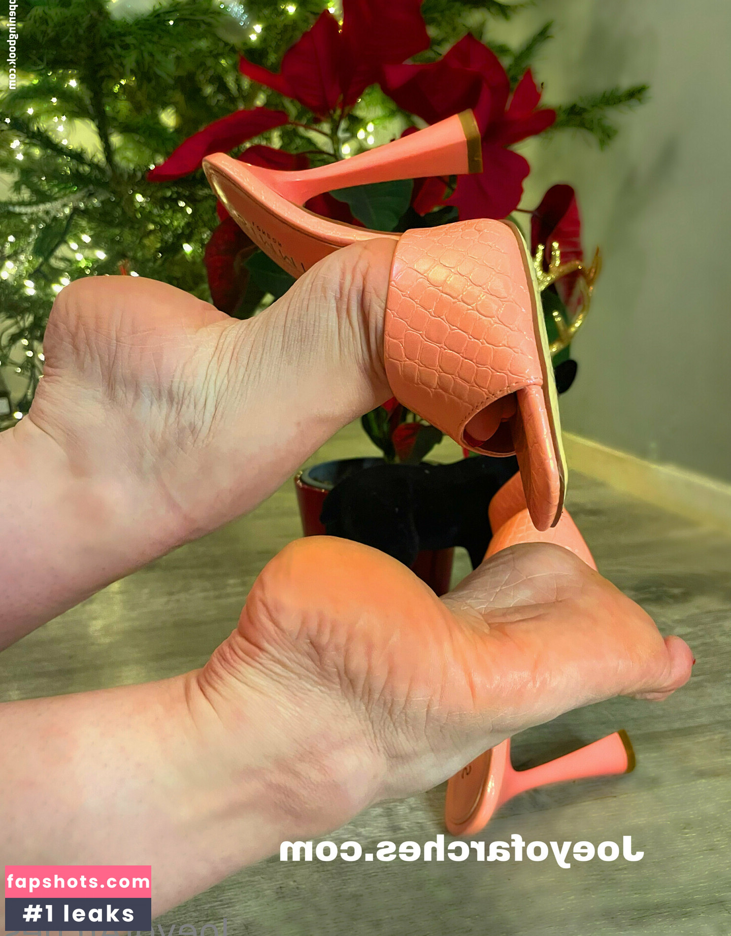 joeyofarches gallery photo #53