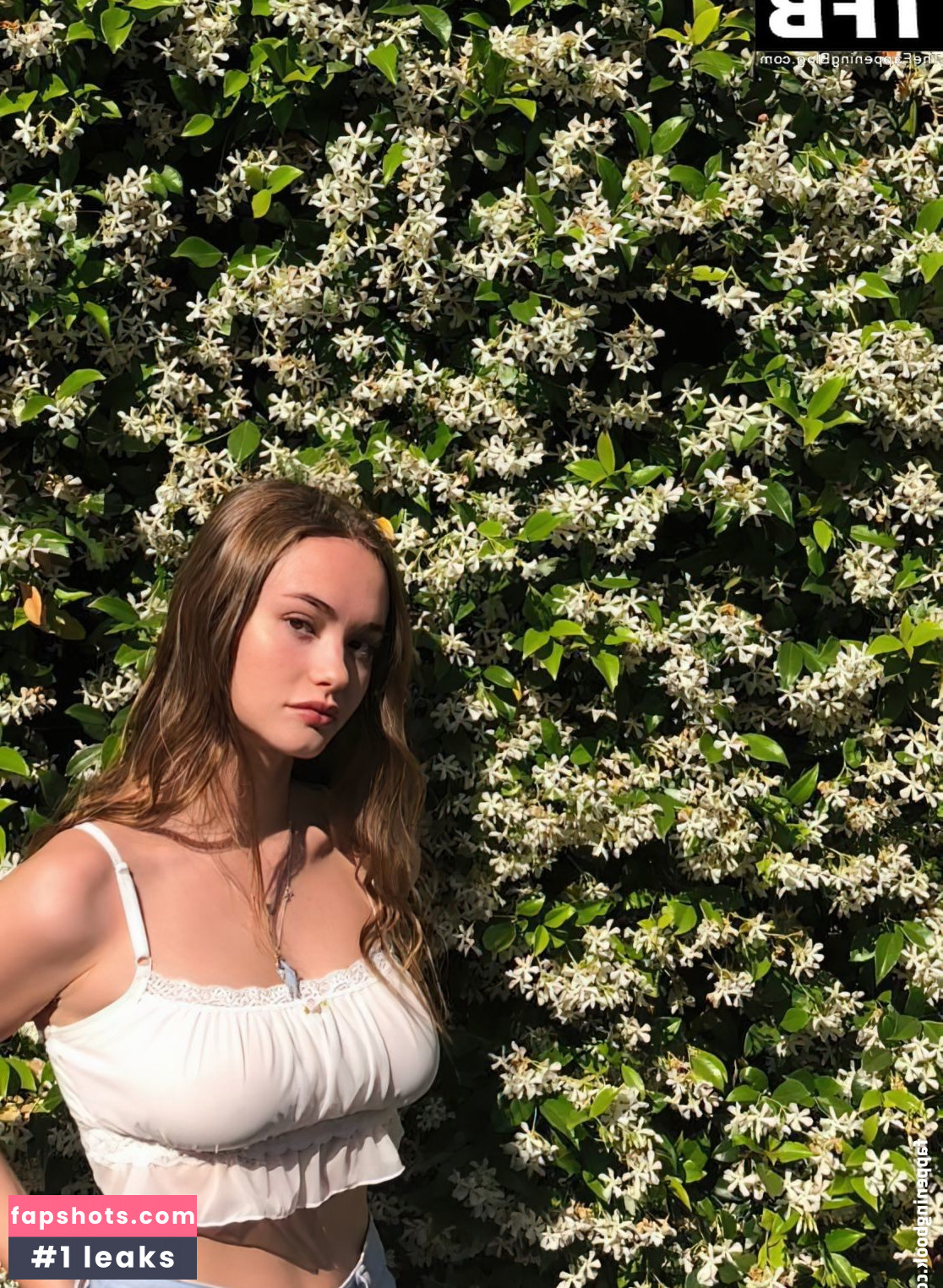 Johnny Friedenberg nude babe gallery