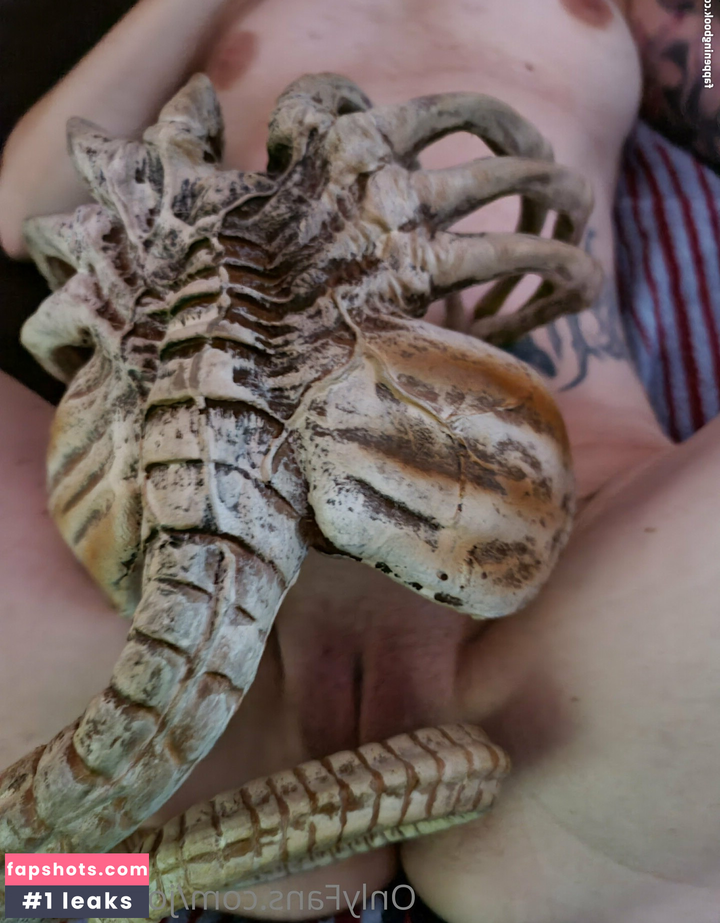 joliesworld gallery photo #62