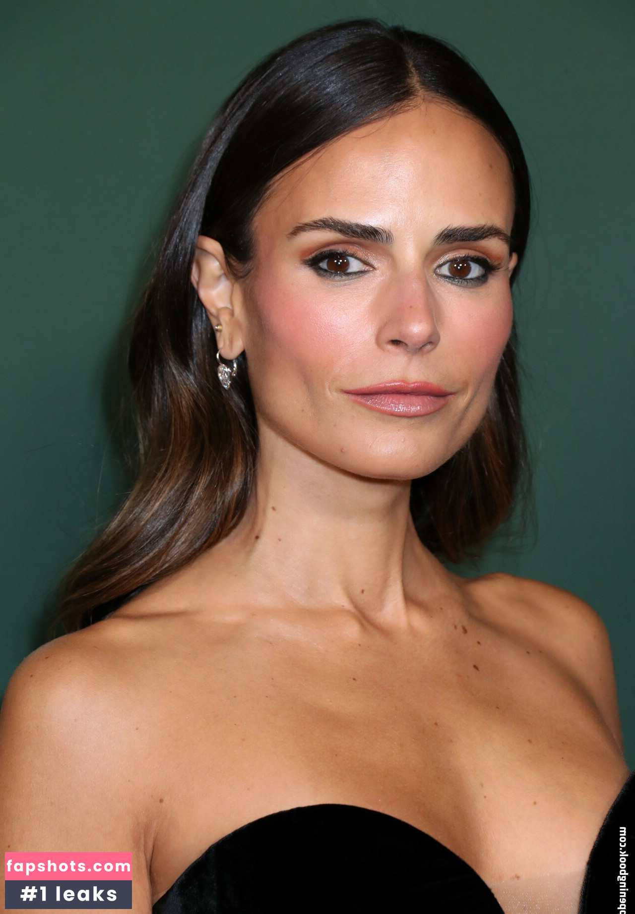 Jordana Brewster Nude Leaks OnlyFans Photos #128 - LeakJerk