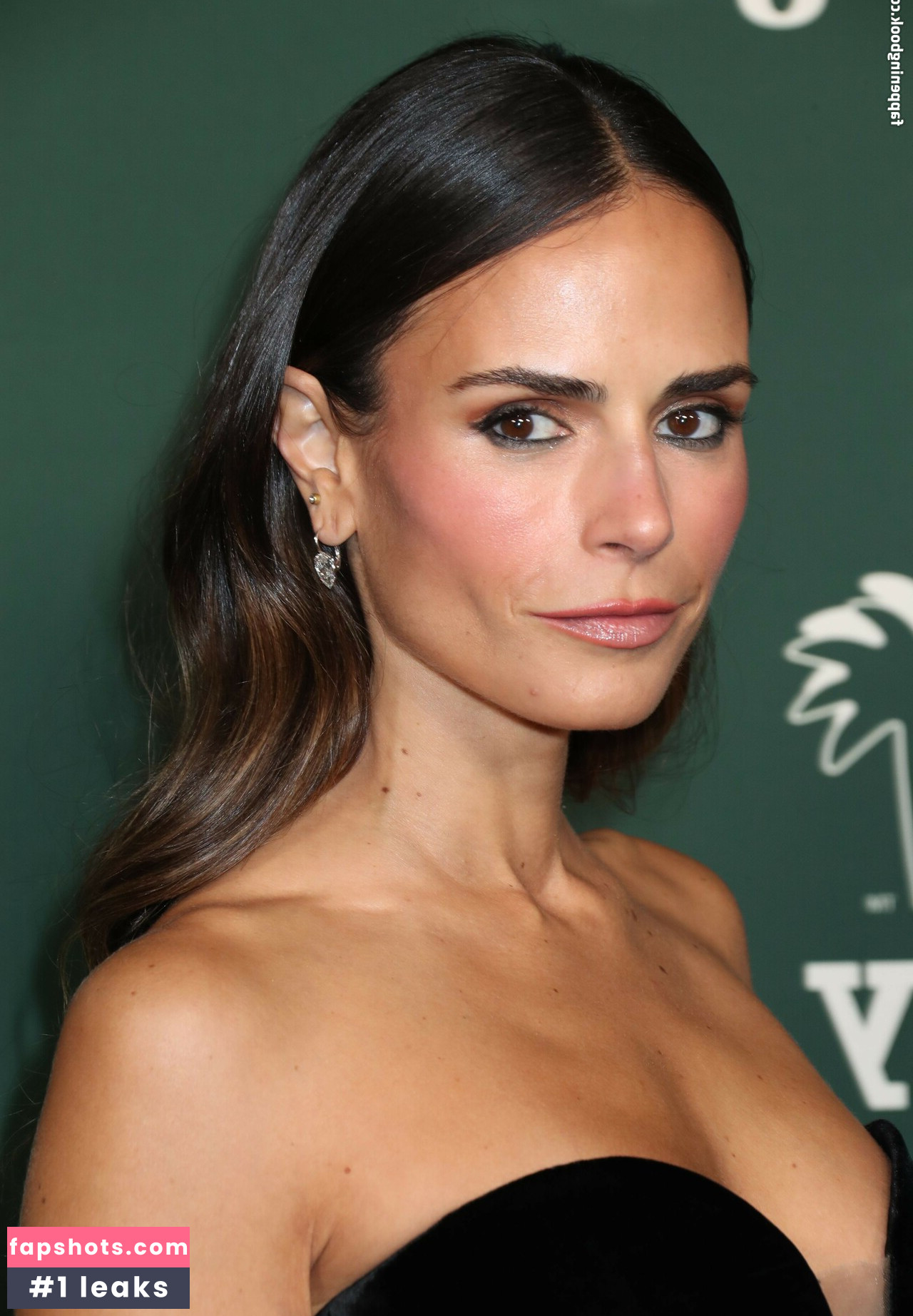 Jordana Brewster Nude Leaks OnlyFans Photos #129 - LeakJerk