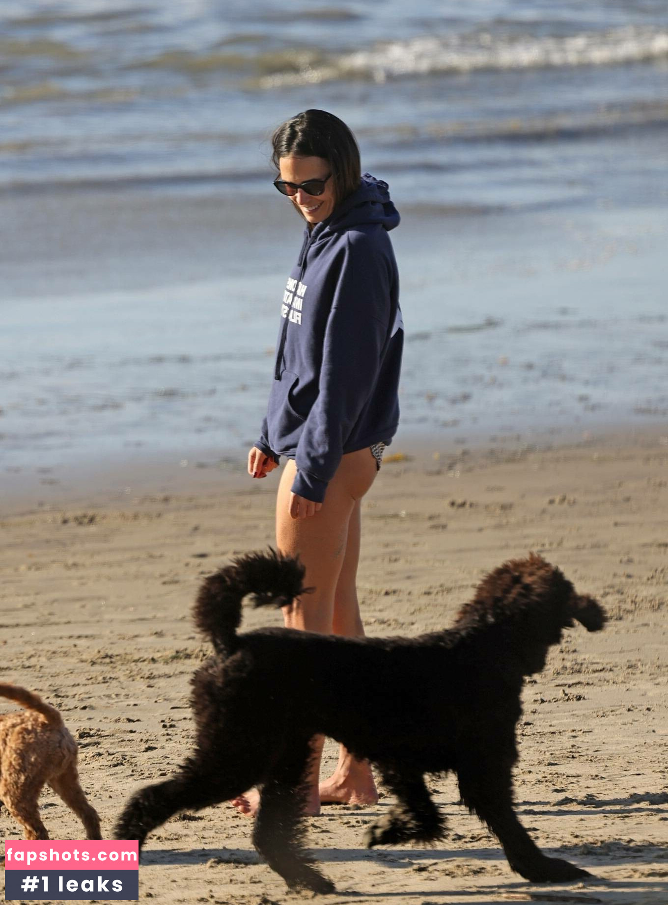 Jordana Brewster Nahé úniky fotek pouze od fanoušků #222 - Fapshots