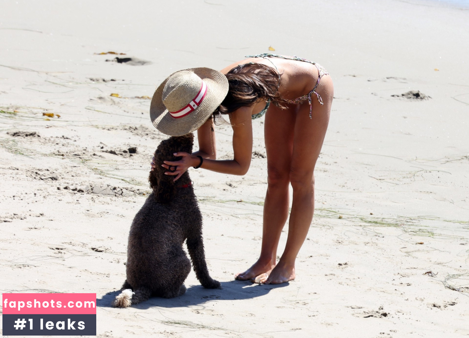 Jordana Brewster Nahé úniky fotek pouze od fanoušků #228 - Fapshots