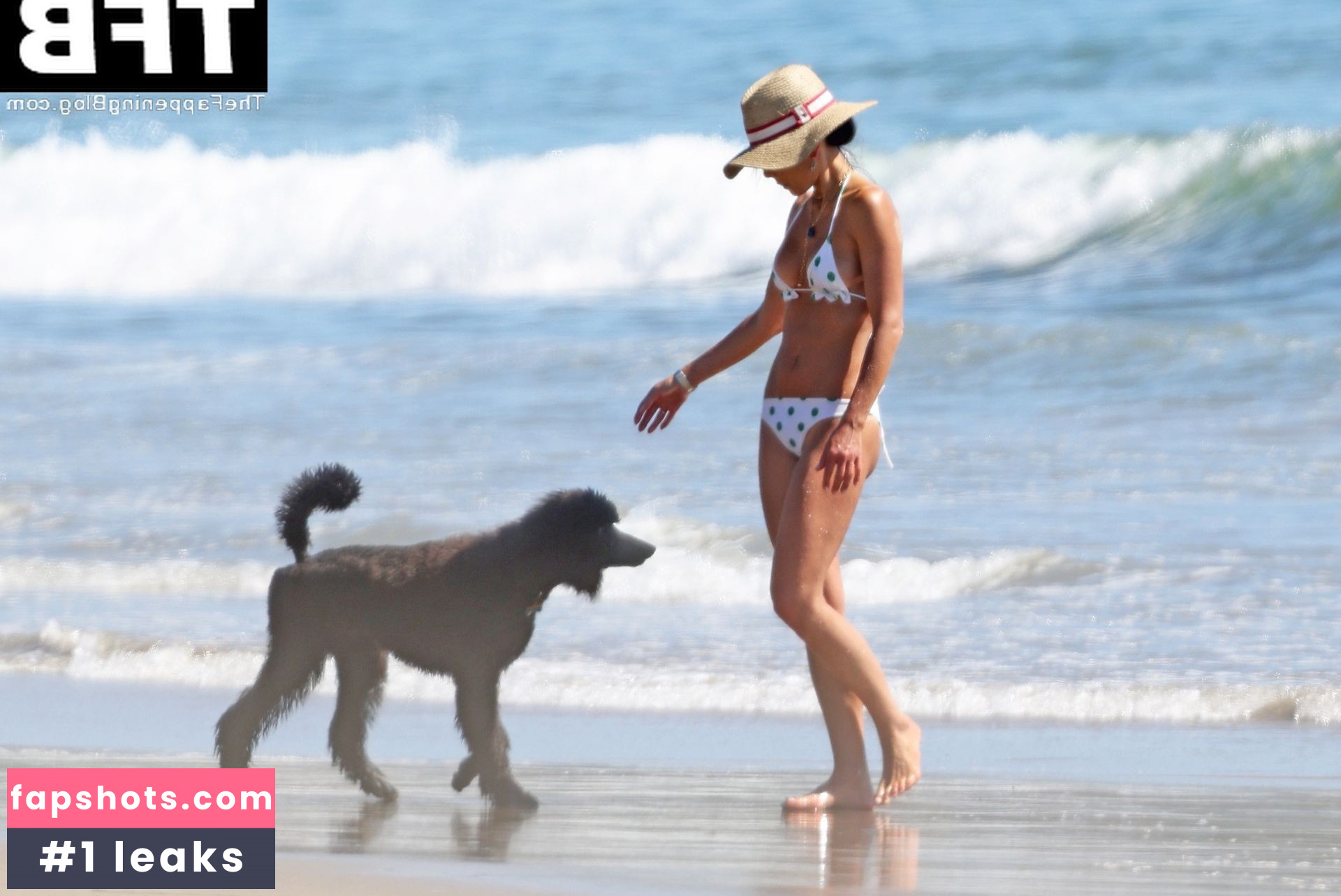 Jordana Brewster Nahé úniky fotek pouze od fanoušků #231 - Fapshots