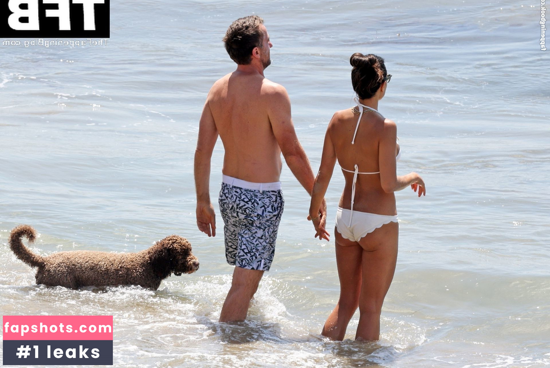 Jordana Brewster Nahé úniky fotek pouze od fanoušků #253 - Fapshots