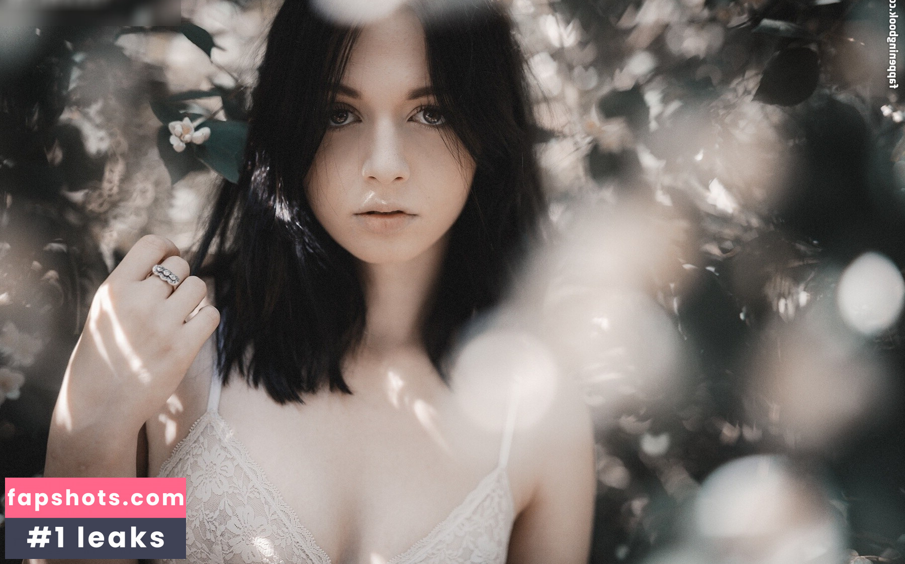 Jottdot gallery photo #3