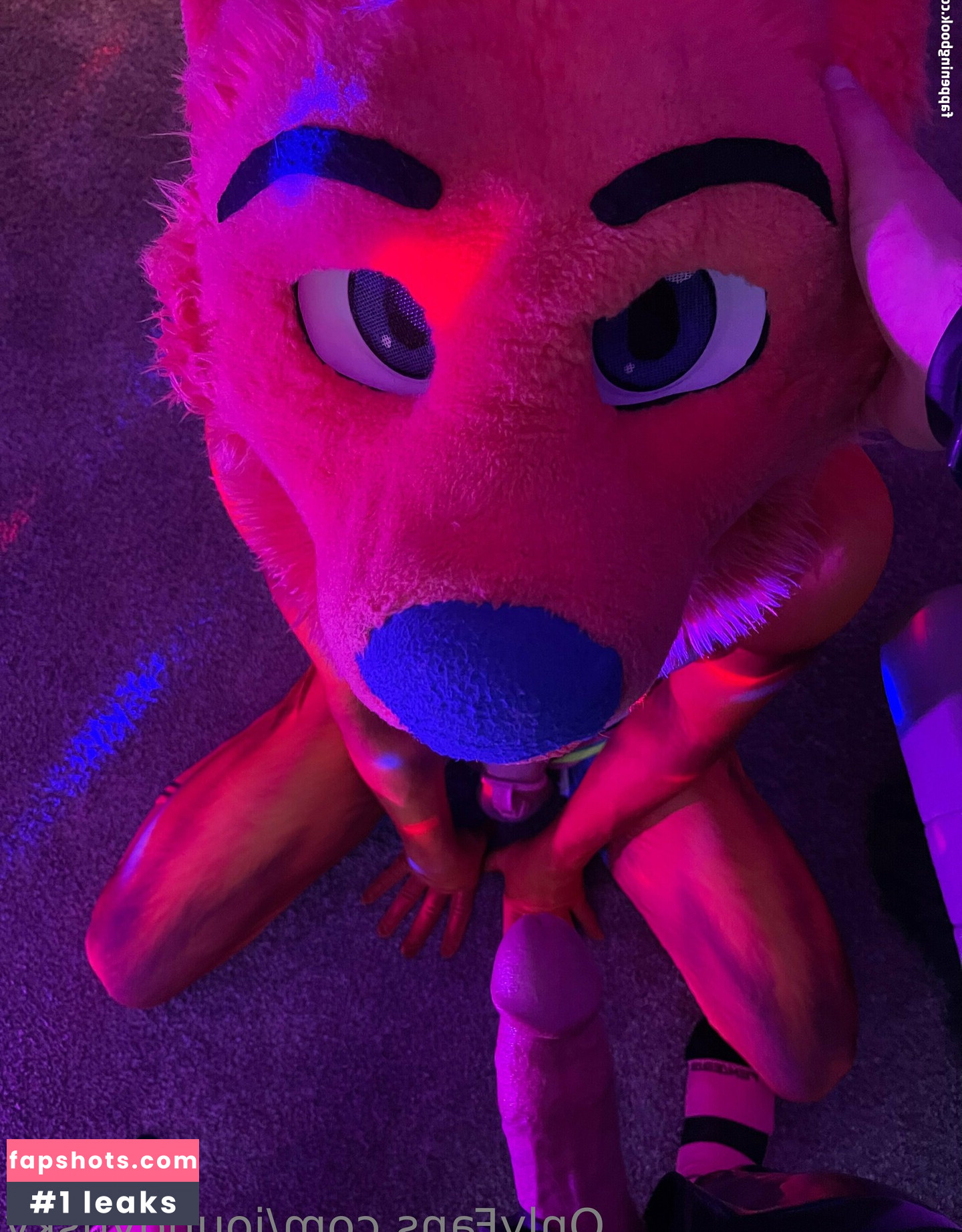 joundyusky gallery photo #5