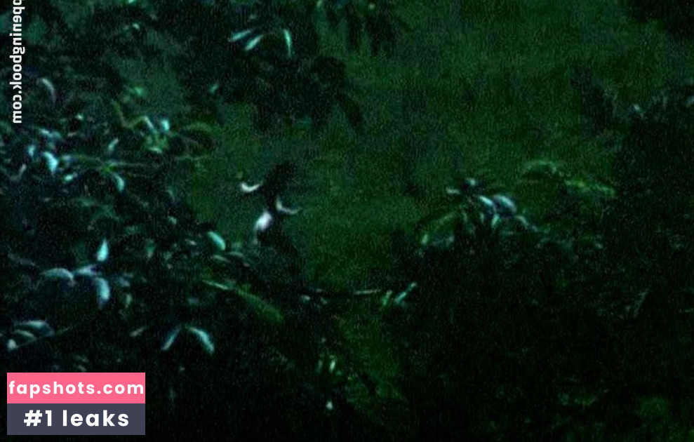 Judi Dench gallery photo #7