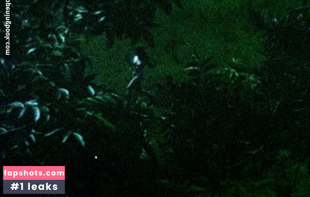 Judi Dench gallery photo #10