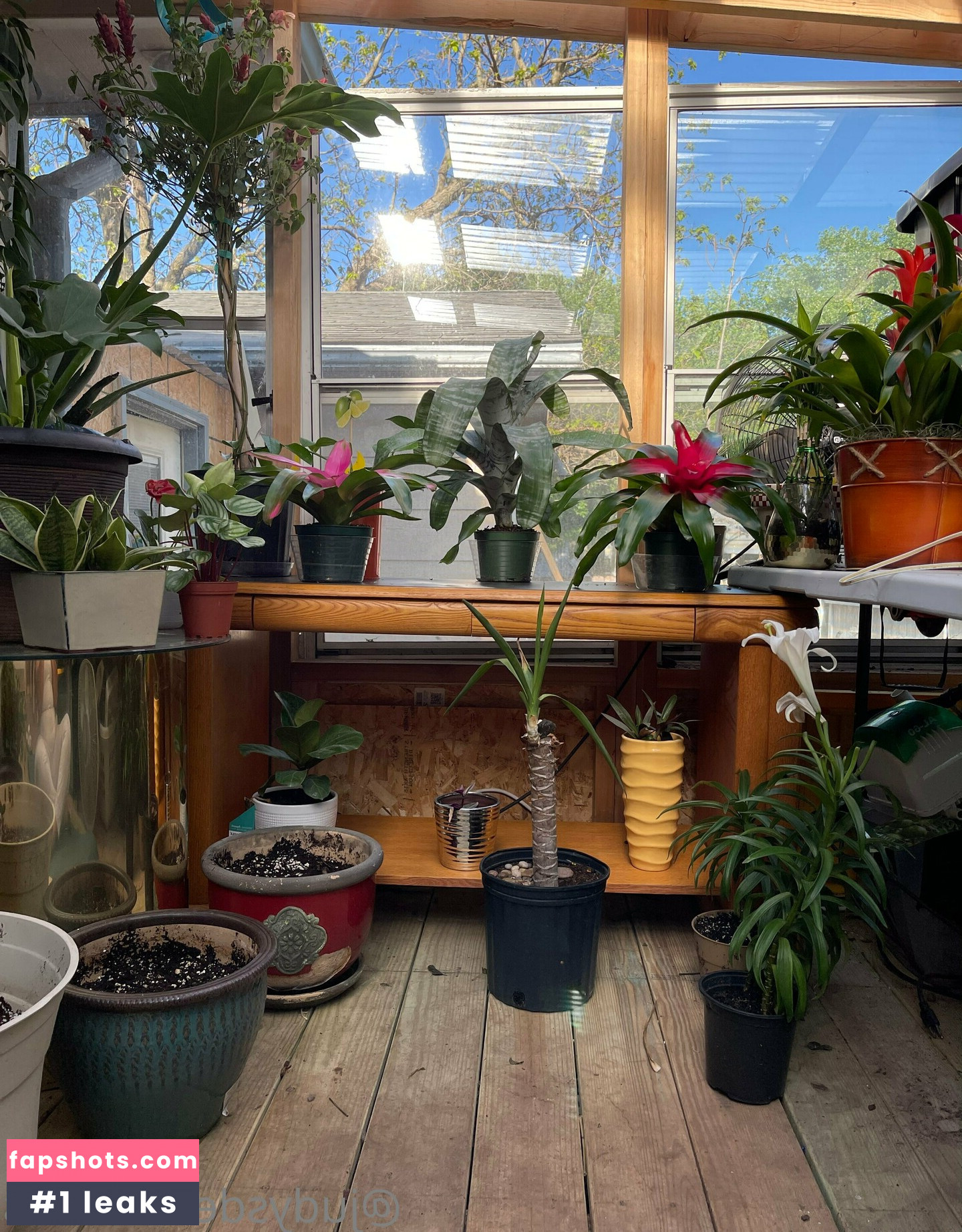 judythegreatfreepage gallery photo #26